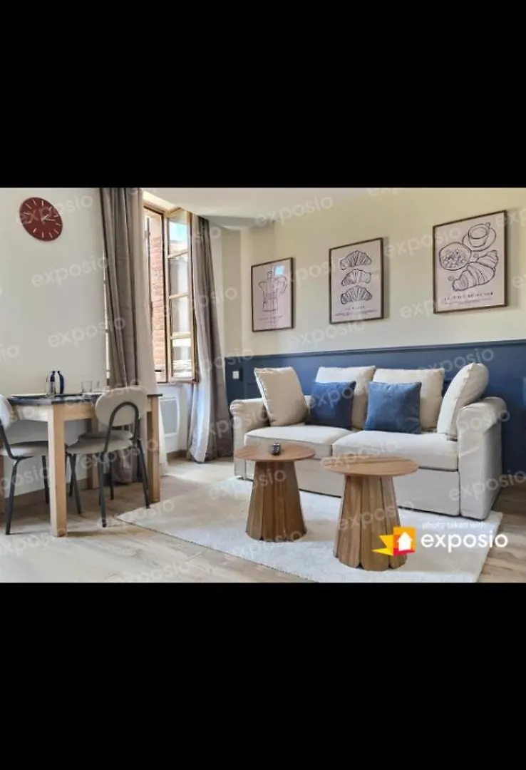 Appartement La Cour Des Secrets- Hyper Centre à Albi